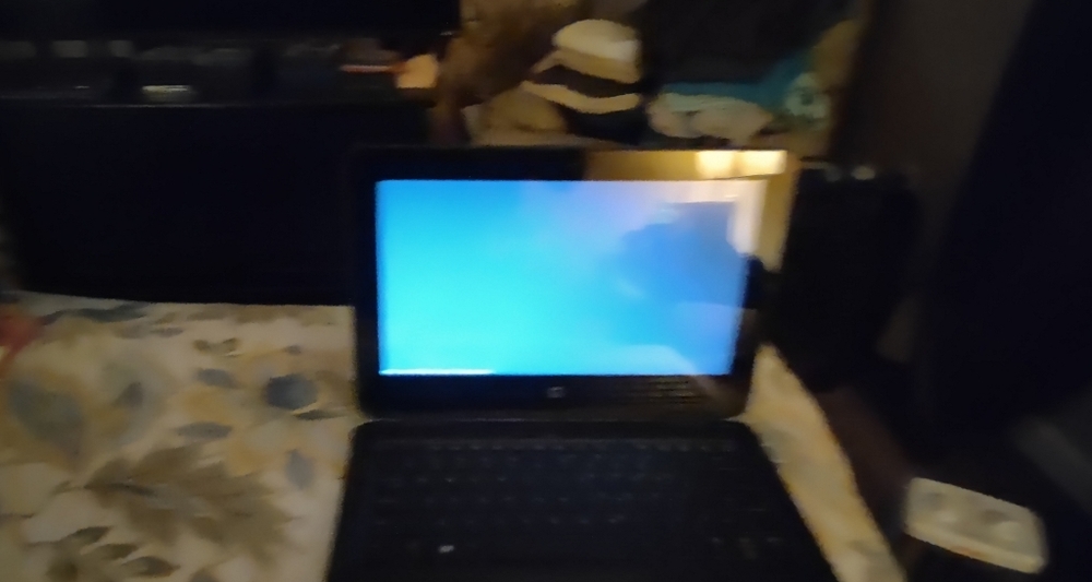 Hp Laptop